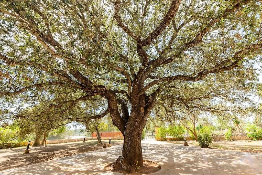 Finca Ses Rotetes Porto Cristo 0*,