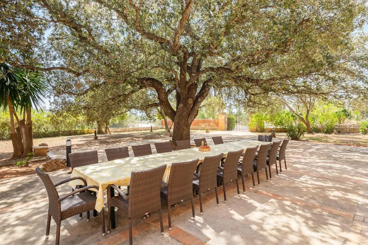 Finca Ses Rotetes Porto Cristo España